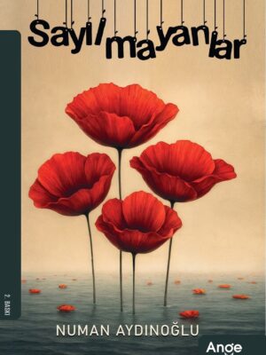 Sayılmayanlar - Numan Aydınoğlu