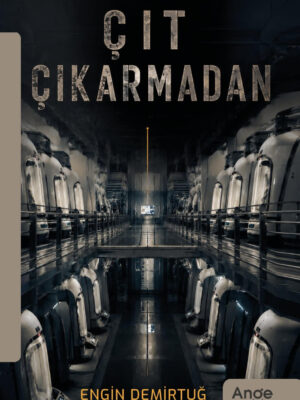 Çıt Çıkarmadan - Engin Demirtuğ